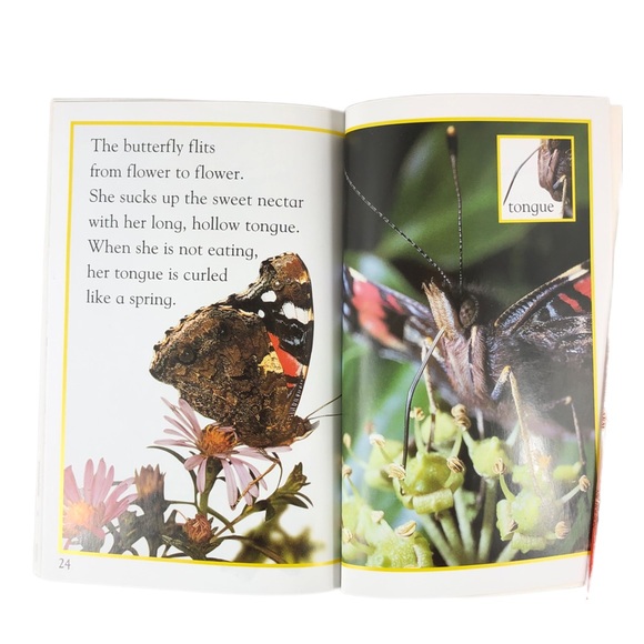 DK Readers Level 1 Beginning to Read Book Set - Picture 3 of 6